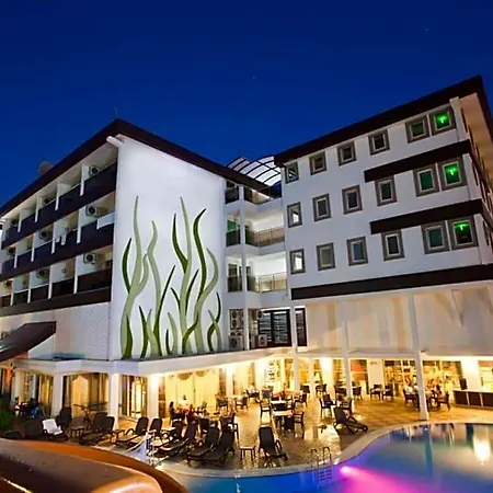 Adella Hotel 4*